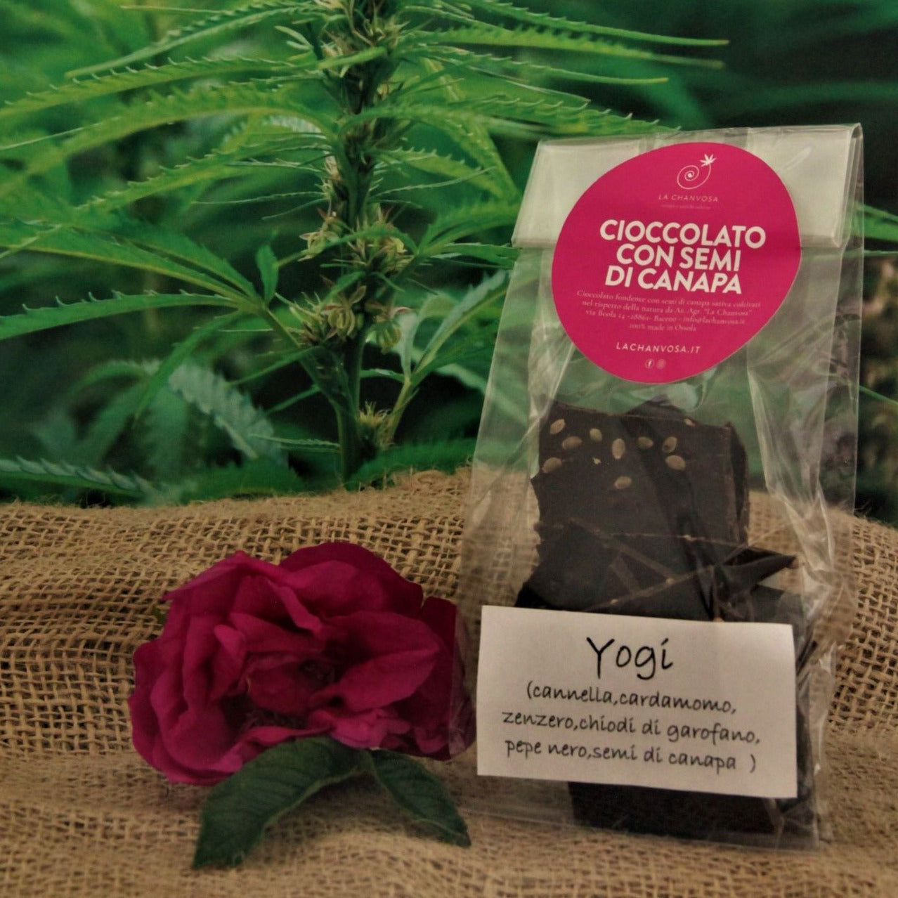 Cioccolato Yogi con semi di Canapa